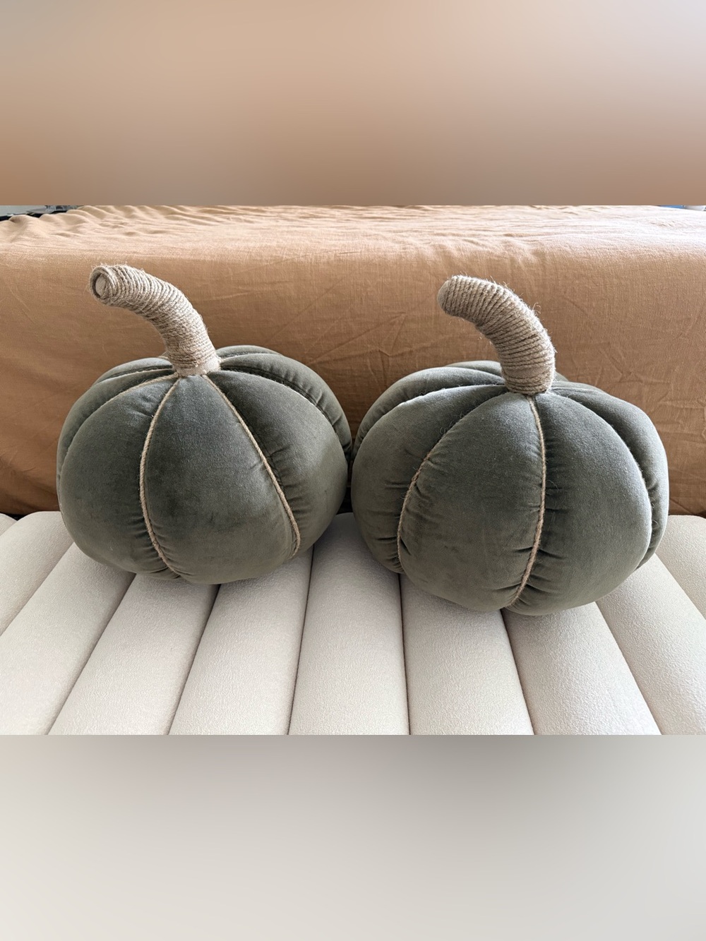 Pottery Barn Velvet Pumpkin Pillows Moss